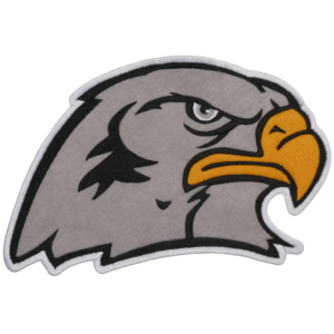 Gray hawk head embroidered patch with intense eye, black feather detailing, golden-yellow beak, and bold outlined mascot design.